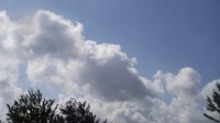 /album/fotogallerij/dscf3544-jpg/